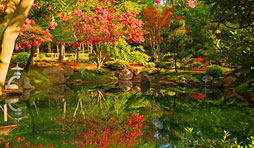 Water Features