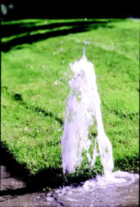 we fix sprinkler systems for business's