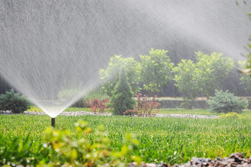 Sprinklers watering a lawn